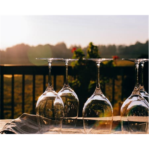 Descoberta Vinho + Casa Vilacetinho - Caminhada Guiada