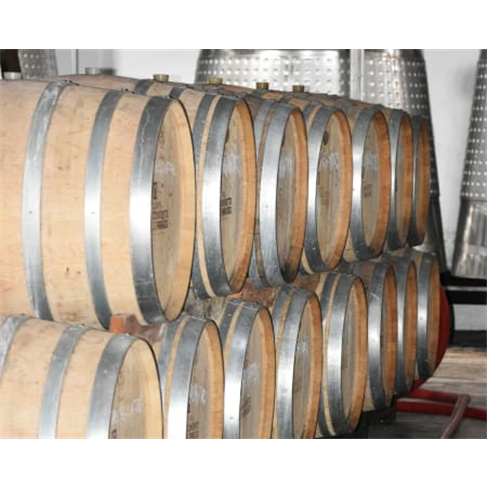 Prova de Vinhos | Adega do Convento do Paraíso - Silves Euphoria Wine Tour