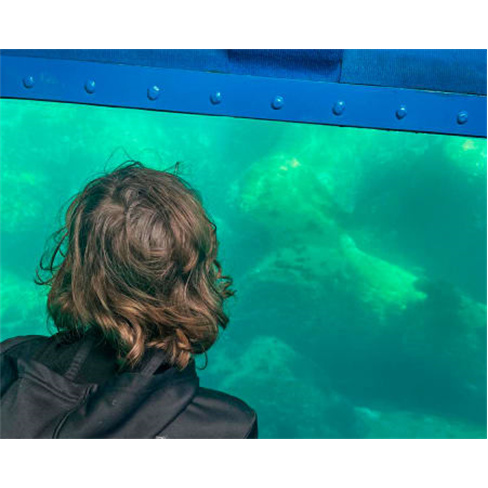 Descubra o Aquarama em Sesimbra com Passeio Submarino - Bilhete Adulto +12 anos