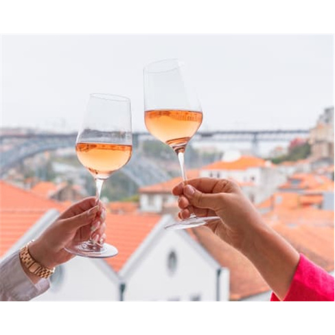 WOW | The Wine School | Workshop e Prova de Vinhos em Gaia