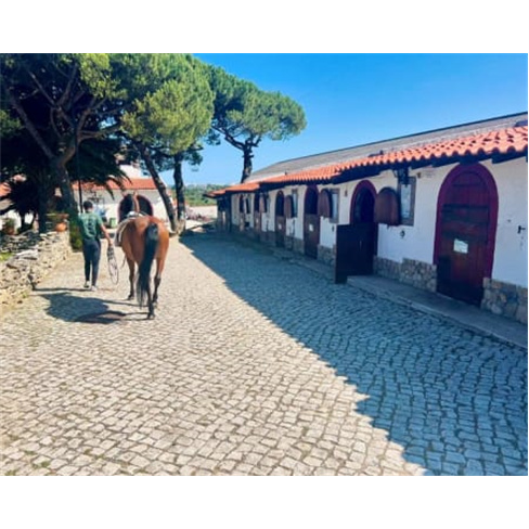 Passeio em Sintra | Batismo Equitação 2 Pessoasn(48 caracteres)