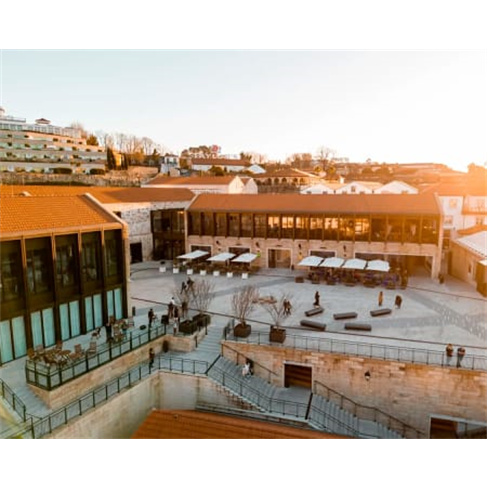 WOW | The Wine School | Workshop e Prova de Vinhos em Gaia