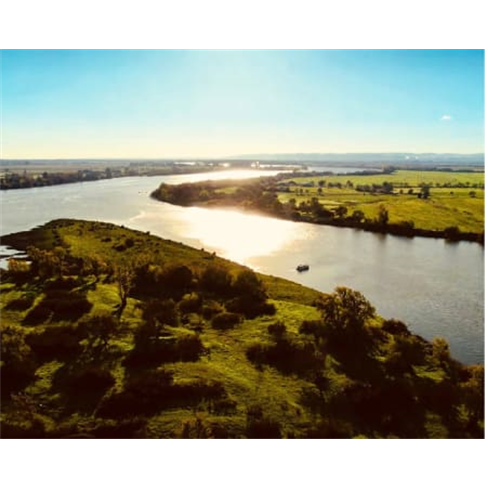 Safari Boat Tour | Feel The River - Cartaxo Safari Boat Tour