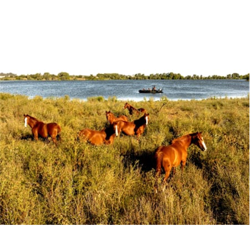 Safari Boat Tour | Feel The River - Cartaxo Safari Boat Tour