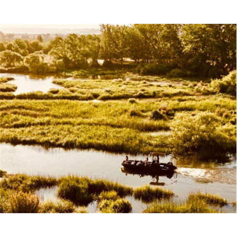 Safari Boat Tour | Feel The River - Cartaxo Safari Boat Tour