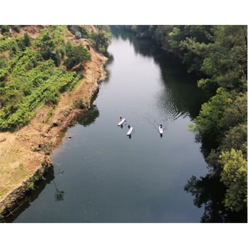 Passeio de Stand-up Paddle no Rio Douro | Porto Surf School