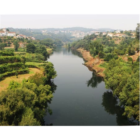 Passeio de Stand-up Paddle no Rio Douro | Porto Surf School