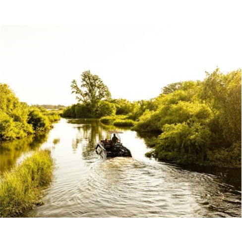 Safari Boat Tour | Feel The River - Cartaxo Safari Boat Tour