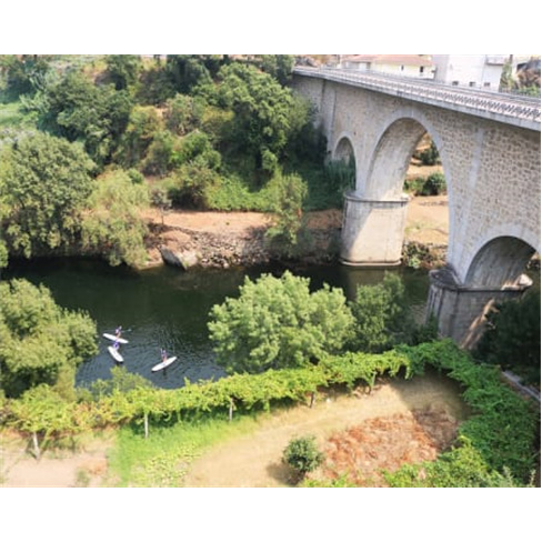 Passeio de Stand-up Paddle no Rio Douro | Porto Surf School