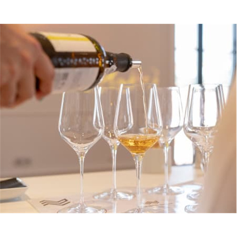 WOW | The Wine School | Workshop e Prova de Vinhos em Gaia
