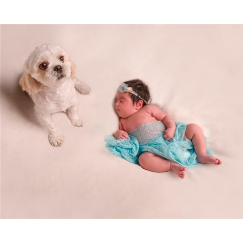 Sessão Fotográfica ao Gosto | Newborn, Maternidade ou Smash - Porto