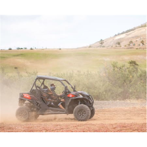 Aventura Buggy em Porto Santo | 4 Pessoas - 1h30nCaracteres: 45