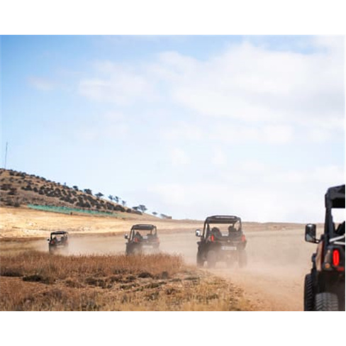 Aventura Buggy em Porto Santo | 4 Pessoas - 1h30nCaracteres: 45