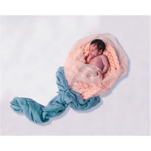 Sessão Fotográfica ao Gosto | Newborn, Maternidade ou Smash - Porto