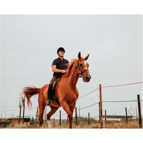 Batismo a Cavalo no Eco Salgados Agroturismo - Peniche.