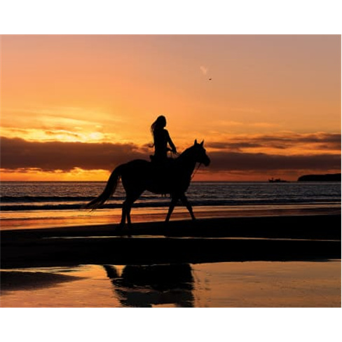 Batismo a Cavalo no Eco Salgados Agroturismo - Peniche.
