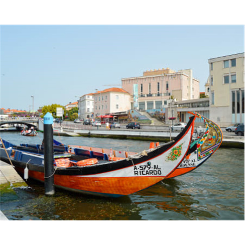 Cruzeiro em Moliceiro em Aveiro para Famílias | Promoção | Criança