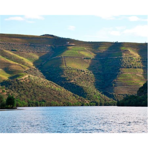 Passeio de Barco Rabelo no Douro - Experiência Única | Bilhete Adulto (+12) 2h