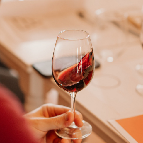 Prova de vinhos nas caves da Churchill\\\'s