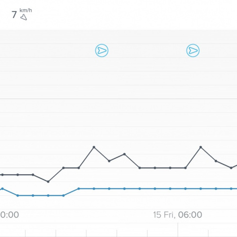 netatmo - Weather Station Wind Gauge