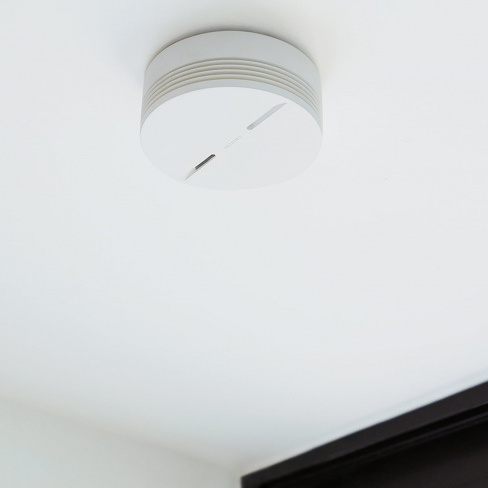 netatmo - Smoke Alarm