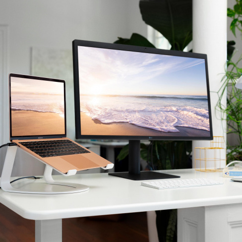 twelve south - Curve for MacBook (white)