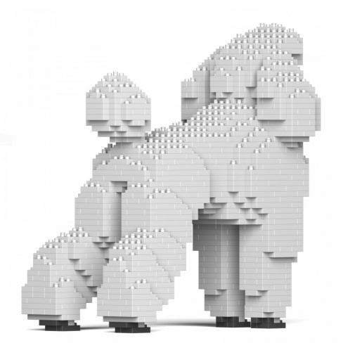 Jekca - Dogs (Standard Poodle 01S-S01) 1170x