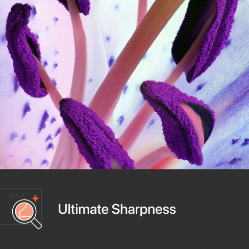 ShiftCam - LensUltra 10x Traditional Macro
