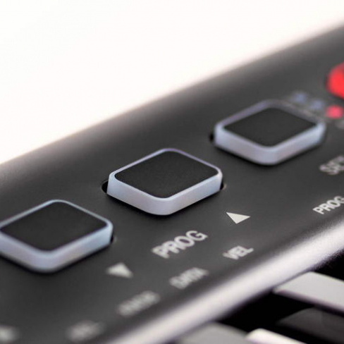 IK Multimedia - Teclado iRig Keys 2 Pro