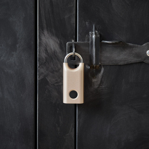 Lexon - Cadeado Nomaday Lock (soft gold)