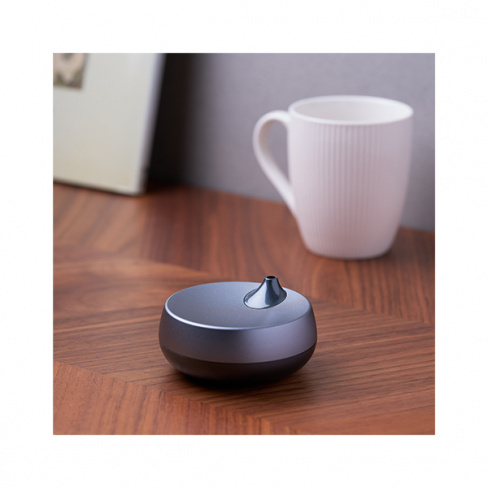Lexon - Difusor aroma Romino (gun metal)