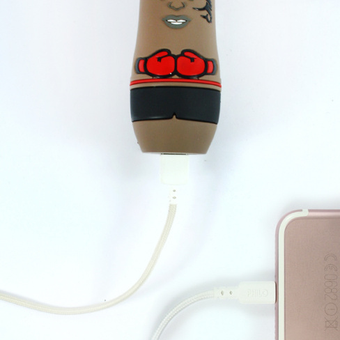 Mojipower - Figures Battery 2600 mAh (fighter)