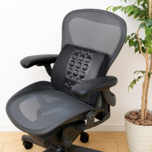 Lifenaxx - Almofada Ergonomic Back Cushion LX-022