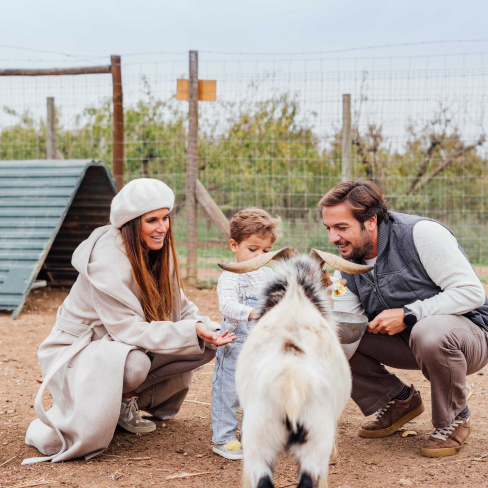 Ecoturismo Collection Monte do Vilar - junho, julho e setembro 2025
