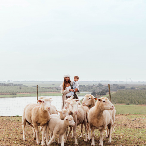 Ecoturismo Collection Monte do Vilar - junho, julho e setembro 2025
