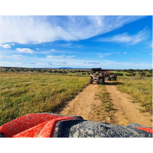 Porto Buggy - Tour de Buggy para Dois! Descubra o Porto em 3 Horas | Dupla