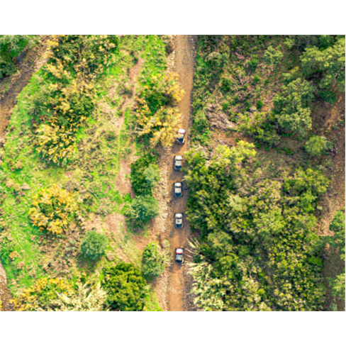 Aventura de Buggy nos Trilhos | Algarve Riders - Albufeira | 3h