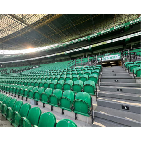 Visita 100% Sporting CP: Estádio, Museu e Cachecol (40 caracteres)