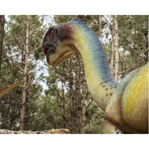 Viaja no Dino Parque da Lourinhã | Aventura de 400 Milhões! Bilhete Criança.