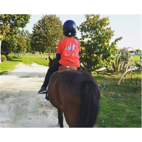 Batismo a Cavalo e Pónei com Piquenique em Aveiro