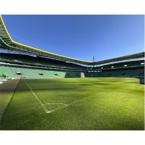 Sporting CP: Visita ao Estádio e Museu com Cachecol | Entrada no Estádio.