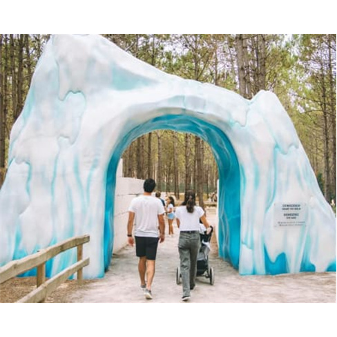 Viaja no Dino Parque da Lourinhã | Aventura de 400 Milhões! Bilhete Criança.