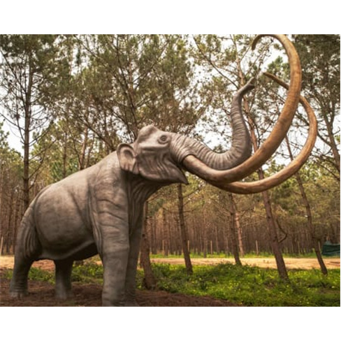 Viaja no Dino Parque da Lourinhã | Aventura de 400 Milhões! Bilhete Criança.