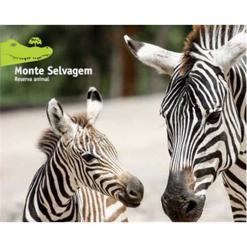 Experiência na Reserva Animal do Monte Selvagem em Montemor - Bilhete Criança.