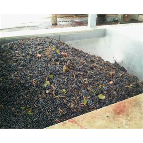 Visita à Quinta do Carneiro c/ Prova de Vinhos e Petiscos