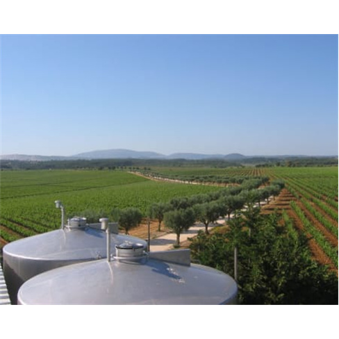 Visita à Quinta do Carneiro c/ Prova de Vinhos e Petiscos