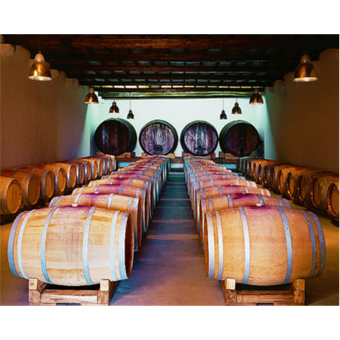 Visita à Quinta do Carneiro c/ Prova de Vinhos e Petiscos