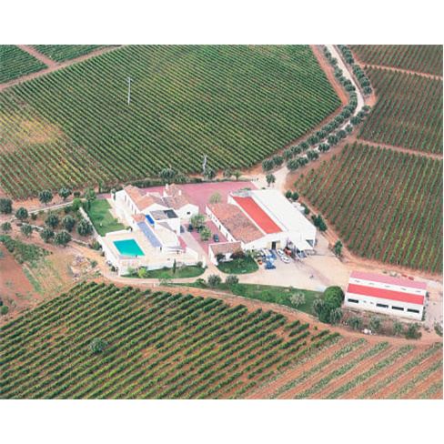 Descubra vinhos especiais e petiscos na Quinta do Carneiro - Alenquer.