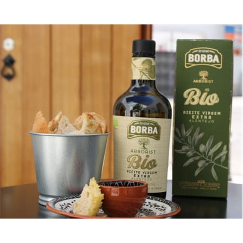 Visita à Casa Museu em Borba + Prova de Vinhos e Azeites do Alentejo