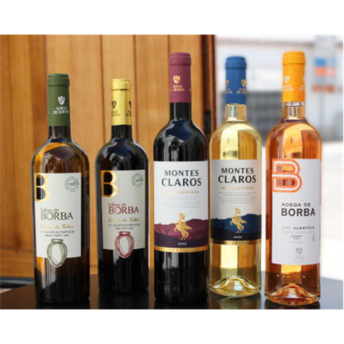 Visita à Casa Museu + Prova de 2 Vinhos de Talha | Alentejo
